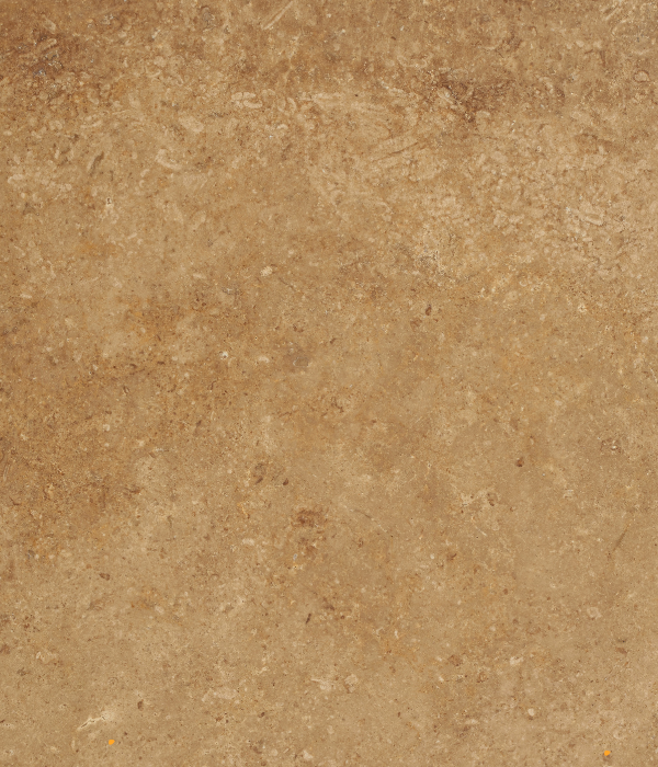 Untitled design (86)